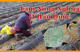 Lương Lao Động Nông Nghiệp Hàn Quốc Đơn Vị Tính