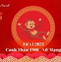 Tử Vi Tuổi Canh Thân Nữ Mạng Trọn Đời